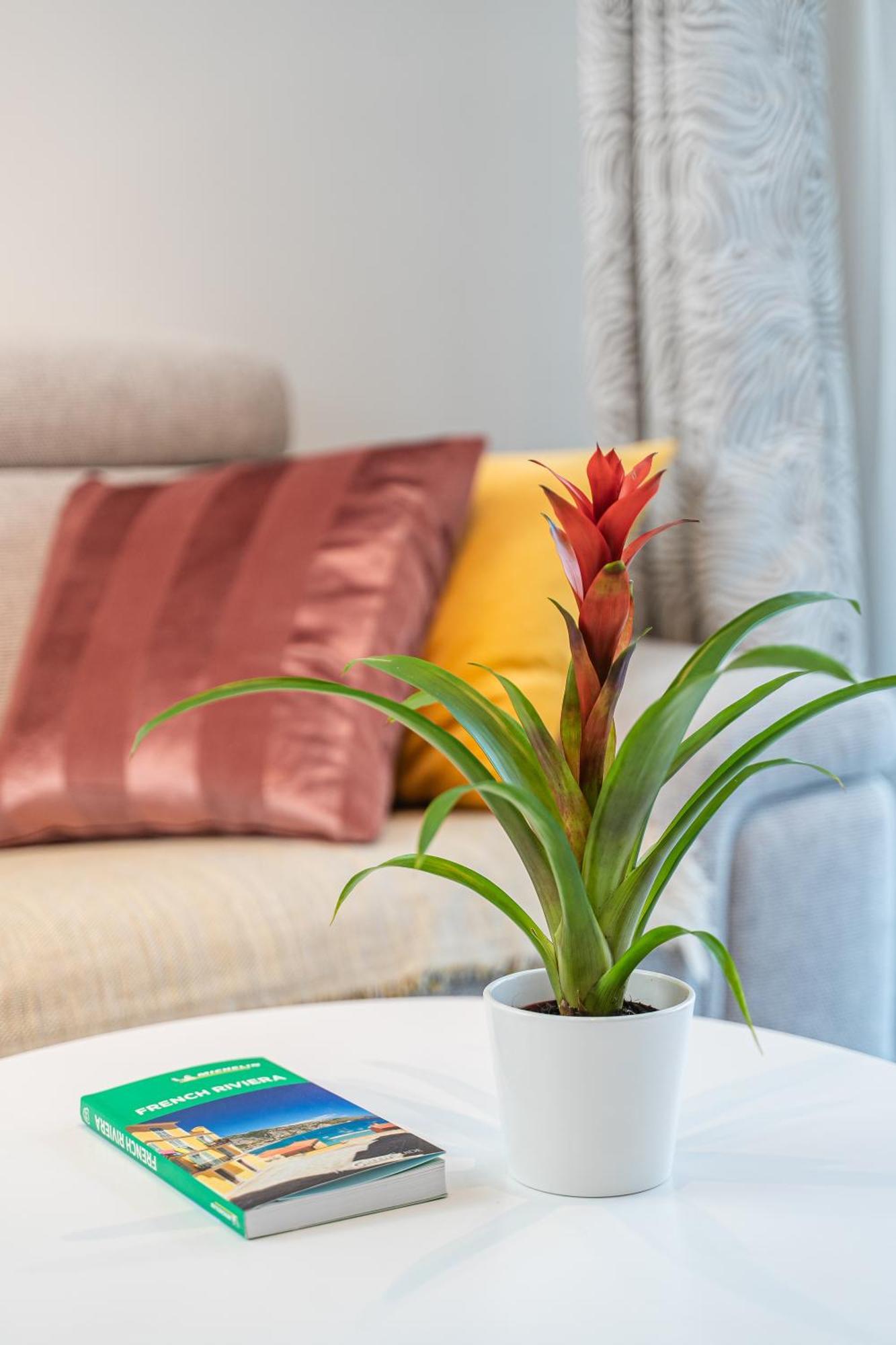 Design T2, Neuf, 8 Min Palais Et Croisette, Parking Appartement Cannes